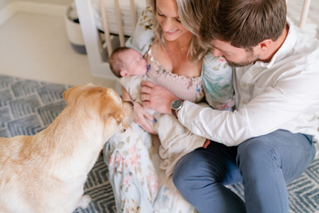 Charleston Newborn Photographer - dog looks at newborn during photoshoot