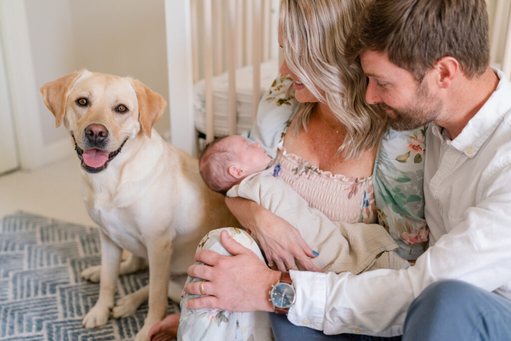 Charleston Newborn Photographer - dog smiles at camera during newborn photoshoot