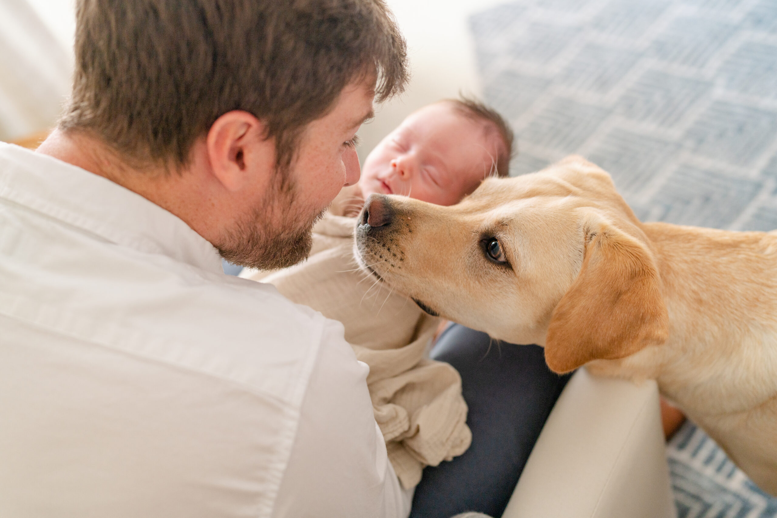 Charleston Newborn Photographer - Dog looking up at dad during newborn photoshoot
