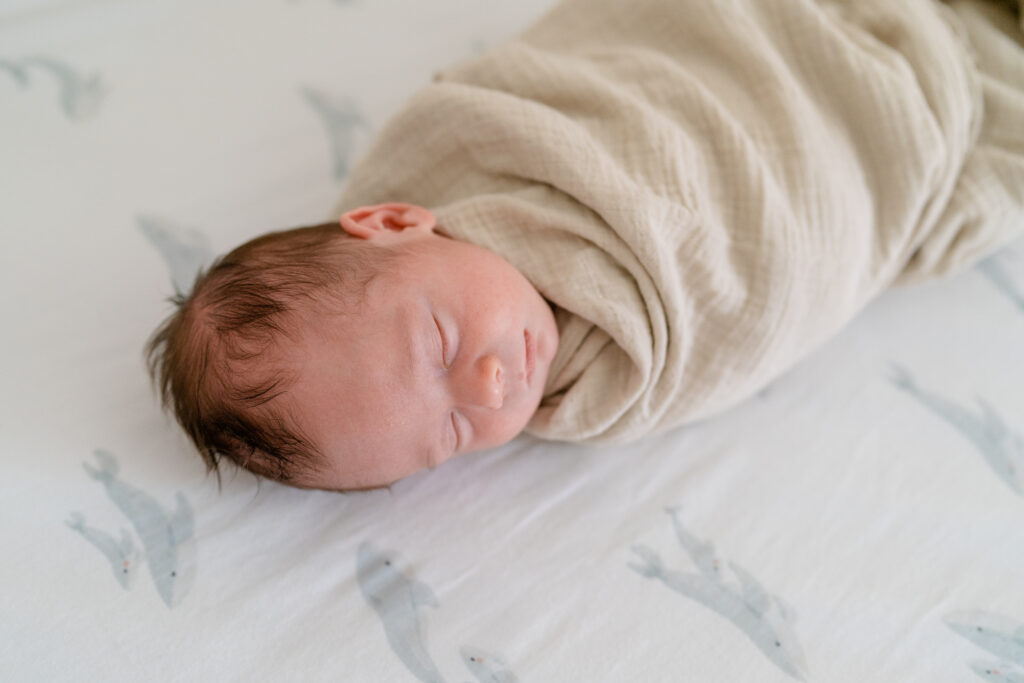 Charleston Newborn Photographer - close cropped photo of newborn baby in crib