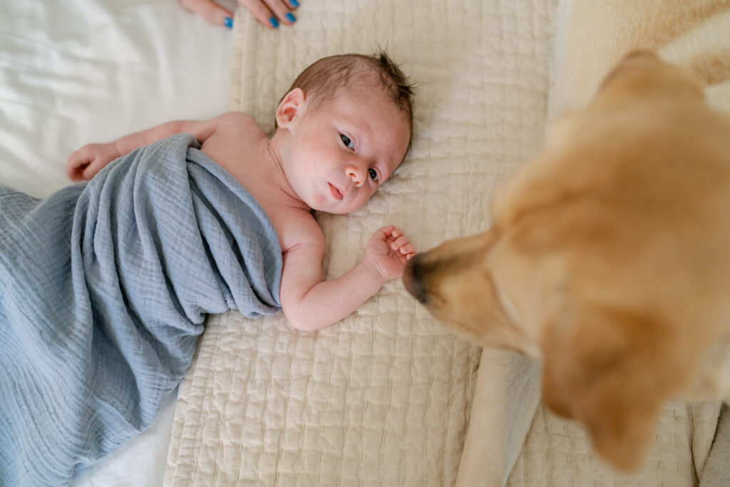 Charleston Newborn Photographer - newborn baby and dog at newborn family photoshoot
