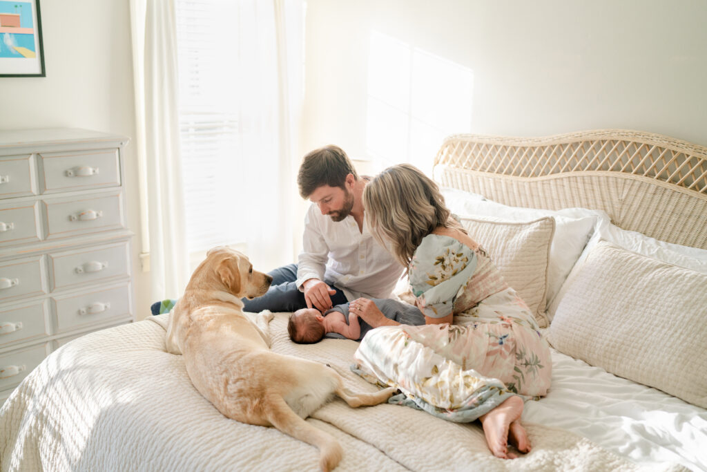 Charleston Newborn Photographer - whole family snuggling on bed during newborn family photos with dog